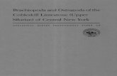 Brachiopoda and Ostracoda of the Cobleskill Limestone ... and Ostracoda of the Cobleskill Limestone (Upper Silurian) of Central New York By JEAN M. BERDAN GEOLOGICAL SURVEY PROFESSIONAL