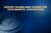 SURVEY GUIDELINES UNDER THE 73/78 MARPOL ... course module/MODULE 10.pdfSURVEY GUIDELINES UNDER THE 73/78 MARPOL CONVENTION 1.1 For oil pollution prevention the examination of plans