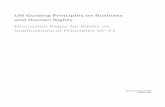 UN Guiding Principles on Business and Human Rights ... · UN Guiding Principles on Business. and Human Rights. Discussion Paper for Banks on. Implications of Principles 16–21. The