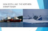 NOVA SCOTIA AND THE NORTHERN SHRIMP FISHERY€¦ ·  · 2016-06-28NOVA SCOTIA AND THE NORTHERN SHRIMP FISHERY . ... Offshore crews were forced to make as many trips as they ... system,