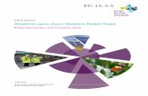 Stratford-upon-Avon Western Relief Road LMA Bridge... · CALA Homes Stratford-upon-Avon Western Relief Road Bridge Opportunities and Constraints Study June 2015 Amec Foster Wheeler