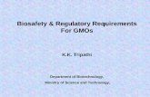 Biosafety & Regulatory Requirements For GMOsenvfor.nic.in/sites/default/files/biosafety/SAU/Presentations/... · Regulatory Approvals in Agriculture ... ¾Skills in biotechnology