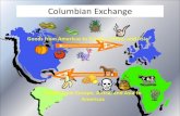 Mercantilism and the Triangular Trade - Weeblywoodhistory8.weebly.com/uploads/2/0/7/4/20743032/colonial... · The impact of the Colombian ... 90-95% of native population died in first