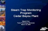 Steam Trap Monitoring - University of Texas at Austintexasiof.ceer.utexas.edu/texasshowcase/pdfs/presentations/c6/mchen.pdf& TrapMan ® Benefits of the ... Steam Trap Monitoring Subject: