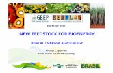 RD&I AT EMBRAPA AGROENERGY - …i at embrapa agroenergy ... future scenario year. oil palm genetic breeding ... bio-oil new biomaterials new polymers cellulose nano fibers
