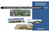 OOMMMMUUUNNNIIITTTYYY …assets.thehcn.net/content/sites/healthymeasures/... · DEFINITION OF A COMMUNITY HEALTH ASSESSMENT ....a systematic approach to collecting, analyzing, and