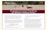 Supplemental Feeding of White-Tailed Deertexnat.tamu.edu/files/...Supplemental-Feeding-of-White-Tailed-Deer.pdfhigher, hunter effort per deer was 6 percent less, and that deer-vehicle