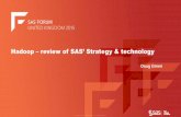 Hadoop - Strategy and Technology - SAS can treat Hadoop just as any other data source, pulling data FROM Hadoop, when it is most convenient; SAS can work directly IN Hadoop, leveraging