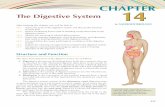 CHAPTER The Digestive System 14 - Amazon S3s3.amazonaws.com/Careertec/Manuals and Texts/Medical/Medical...The digestive system consists of the ... A diagram of the pathway of food