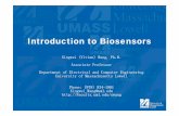 Introduction to Biosensors - UMass Lowellfaculty.uml.edu/xwang/16.541/2013/Overview 2013.pdf · Optical fiber sensing technology ... Public Health Pathology Criminology ... Launch