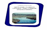 WETLAND, CLIMATE CHANGE, AND CARBON SEQUESTERING · WETLAND, CLIMATE . CHANGE, AND CARBON ... Wetlands are among the ecosystems which will be most affected by even small ... Climate