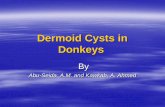 Dermoid cysts in donkeys - Cairo University Scholarsscholar.cu.edu.eg/.../files/dermoid_cysts_in_donkeys.pdfanechoic areas and hyperechoic irregular masses. Microscopically, the cyst
