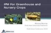 IPM For Greenhouse and Nursery Crops - Utah Pests · PDF fileIPM For Greenhouse and Nursery Crops ... some pesticides promote pest activity: ... mesophyll of plant cells, do not European