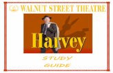 STUDY GUIDE - Walnut Street Theatre you enjoy this performance? What was your favorite part? Who was your favorite character? Why? ... ACTIVITY: SEEING THE WORLD IN DIFFERENT WAYS
