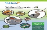 educator guide 4-6 - Ducks Unlimited Canada · while niche refers to the place an organism fits in the hierarchy of organisms living within a specific habitat or microhabitat. 5.