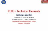 REDD+ Technical Elements - REDD+ Ethiopia · REDD+ Technical Elements (Solomon Zewdie) National REDD+ Secretariat National REDD+ Pilots Coordinator Benishangul Gumuz Regional State,