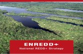 ENREDD - UNFCCCredd.unfccc.int/files/brazil_national_redd__strategy.pdf · REDD+ was established, a set of seven decisions defining the international structure, the main rules, transparency