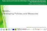 REDD+: Developing Policies and Measures - APAFRI 2/Day2_ Ben_REDD.pdf · Module Sections 1. REDD+ in international negotiations (10 mins) 2. REDD+ Strategies, Policies and Measures