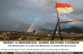 REDD+ IN INDONESIA: GOING BEYOND CARBON forum... · REDD+ IN INDONESIA: GOING BEYOND CARBON THE IMPORTANCE OF LAND-USE MODELING TO AVOID DEFORESTATION Global Landscape Forum, 16 November