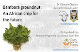 Bambara groundnut: Dr Olawale Olayide Research Fellow ...€¦ · Dr Olawale Olayide Research Fellow, CESDEV ... 5,100 2,670 Nigeria Effect of genotype & planting density ... correlation