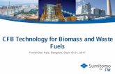 CFB Technology for Biomass and Waste Fuels - …€¦ · CFB Technology for Biomass and Waste Fuels ... and India. Market share based ... Project Scope EPC, D&E, D&S, Licensing. Other