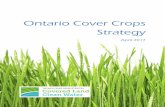 Ontario Cover Crop s Strategy Cover Crop s Strategy April 2017 Ontario Cover Crops Strategy 2017 ONTARIO COVER CROPS STEERING COMMITTEE This project is the result of the shared investment