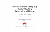 Shortest Path Bridging IEEE 802.1aq Tutorial and Demo ·  · 2010-10-04peter.ashwoodsmith@huawei.com . 2 ... one big L2 switch by combining 100’s of smaller ... Ethernet Bus (