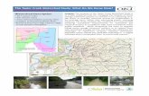 The Taylor Creek Watershed Study: What Do We Know … Sheet... · The Taylor Creek Watershed Study: What Do We ... guide and inform decisions on how to make local streams livable