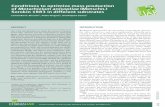 Conditions to optimize mass production of Metarhizium ... · GRICULTUR SEAR 1 ANUARY GRICULTUR SEAR 4 TOBER -MAR 201DE 201 449 RPR was recycled from a previous production of M. anisopliae,