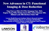 New Advances in CT: Functional Imaging & Dose …videoserver1.iaea.org/media/HHW/Radiotherapy/ICARO proceedings...Functional Imaging in Radiation Oncology • Target definition –