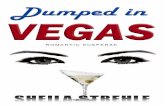 Dumped in VEGAS - czerwonkapublishing.com€¦ · Being a hotshot pilot in the Air Force ... avoid—the tiny dog humping my left leg. ... Dumped in VEGAS 6