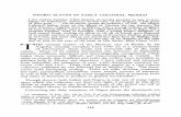 HE notarial archive of the Mexican city of Puebla de loslatinamericanstudies.org/slavery/TA-1969.pdf · HE notarial archive of the Mexican city of Puebla de los Angeles, virtually
