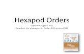 Hexapod Orders - University of Floridaentnemdept.ifas.ufl.edu/Miller/eny3005/secure/HexapodOrders2012.pdf · Hexapod Orders Updated August 2011 Based on the phylogeny in Gullan &