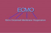 Extra Corporeal Membrane Oxygenation · ECMO Ł 1972 - first reported clinical use. Ł 1976 - survival reported at 15%. Ł Used when circulatory and respiratory support is needed.