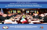 Critical Strategic Decisions in Mexico: the Future of …chds.dodlive.mil/files/2013/12/pub-OP-downie1.pdfCritical Strategic Decisions in Mexico: the Future of US/Mexican Defense Relations