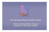 UIC Perinatal Mental Health Project - Illinois.gov · sadness of a shockingly different magnitude. ... More school problems ... UIC Perinatal Mental Health Project ...