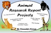 Animal Research Report Projects - 3rd Grademillers3rdgrade.weebly.com/.../animalresearchreportprojects_1.pdf · Project # 1 Pyramid Animal Research Project Directions: 1. Students