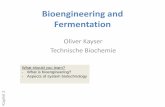 Bioengineering and Fermentation - TU Dortmund Bio-Enginee… ·  · 2016-03-15Bioengineering and Fermentation Oliver Kayser Technische Biochemie ... Difference between Chemical and