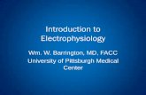 Introduction to Electrophysiology - Pennsylvania · Introduction to Electrophysiology Wm. W. Barrington, MD, FACC University of Pittsburgh Medical Center . Objectives ... Drive Train