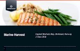 Marine Harvest 2 June 2016marineharvest.com/globalassets/investors/presentations-and-web... · Immature industry with significant room for efficiency gains - ... shipping market .