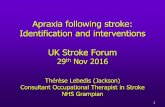 Apraxia following stroke: Identification and interventions ... · 1 Apraxia following stroke: Identification and interventions UK Stroke Forum 29th Nov 2016 Thérèse Lebedis (Jackson)