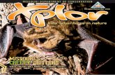missouri’s creepy critters - Missouri Department of ... · MISSOURI DEPARTMENT OF CONSERVATION October/November 2010 kids' adventures in nature ThESE FREAkS wIll MAkE yOU ShRIEk