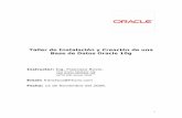 Taller de Instalación y Creación de una Base de Datos ...friccio.com/articulos/Taller_Oracle_Basico_15112008.pdf · productos Oracle instalado) y dba (Utilizado para los binarios