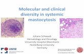 Molecular and clinical diversity in systemic mastocytosis · Hematology and Oncology ... blastic leukemia . BONE MARROW (BM) BIOPSY Aspirate, histology, ... •Multifocal dense infiltrates