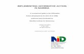 IMPLEMENTING AFFIRMATIVE ACTION IN NAMIBIA · IMPLEMENTING AFFIRMATIVE ACTION IN NAMIBIA A summarised guide to the Affirmative Action ... courtesy of the Namibia Institute for Democracy