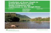 Prediction of Scour Depth in Gravel Bed Rivers Using Radio ... · PREDICTION OF SCOUR DEPTH IN GRAVEL BED RIVERS USING RADIO FREQUENCY IDs: APPLICATION TO THE SKAGIT RIVER . FINAL