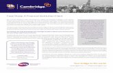 Case Study: A Financial Institution Client - cambridgefx.com · Case Study: A Financial Institution Client The Wire Administrator of a client logs on to the Financial Institution’s