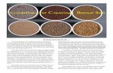Guidelines For Creating Bonsai Soil. - Bonsai Society of …€¦ ·  · 2013-10-31Guidelines For Creating Bonsai Soil. ... bonsai container is limited, ... and mame class plants.
