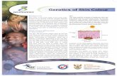 Genetics of Skin Colour - SAASTA | South African Agency … ·  · 2011-03-01Genetics of Skin Colour Background Skin colour is the most visible of all human traits. In fact, it is