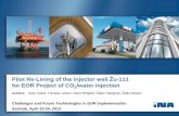 Pilot Re-Lining of the injector well Žu-111 /water injection · Pilot Re-Lining of the injector well Žu-111 for EOR Project of CO 2 /water injection Authors: ... CMT Quality Logging